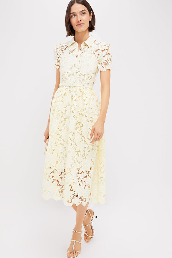 Yellow Lace Collared Midi Dress