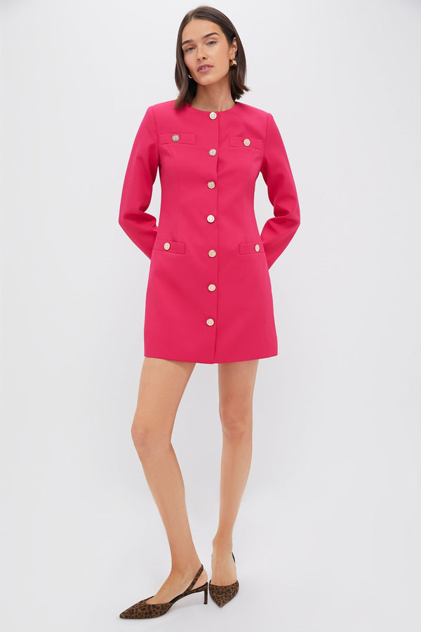 Strawberry Veronica Mini Dress