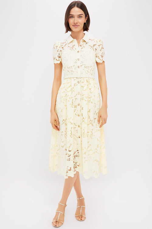 Yellow Lace Collared Midi Dress