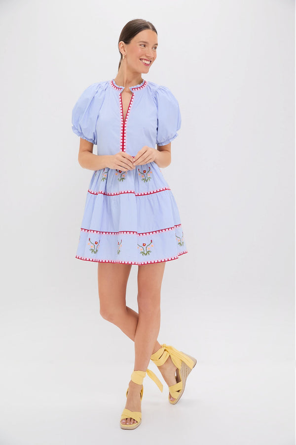 Blue Pinstripe Embroidered V-Neck Lillian Mini Dress