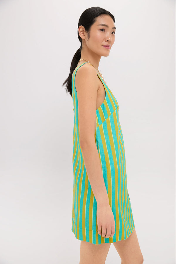 Multi Rosanna Mini Dress