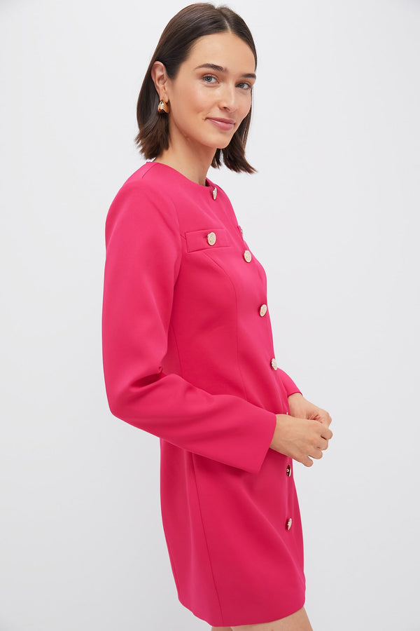 Strawberry Veronica Mini Dress