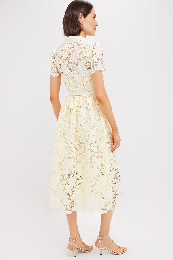 Yellow Lace Collared Midi Dress