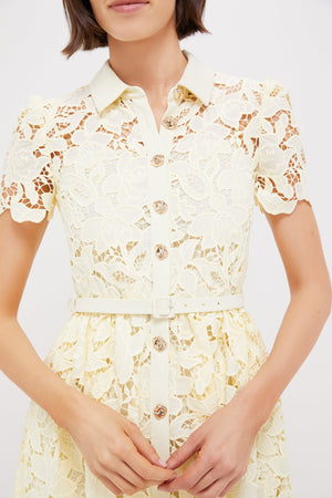 Yellow Lace Collared Midi Dress