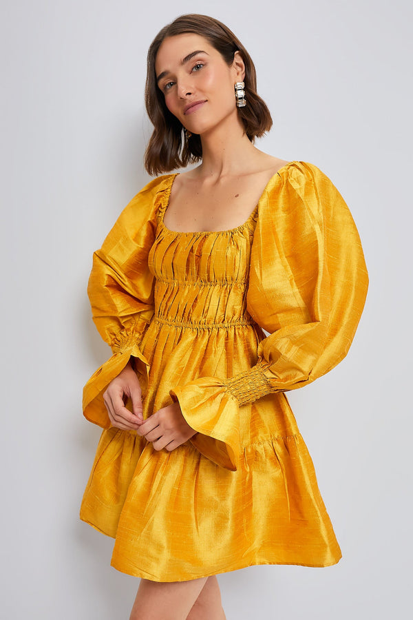 Marigold Elisabeth Mini Dress