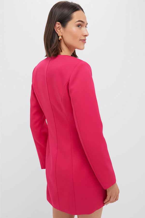Strawberry Veronica Mini Dress