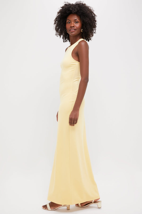Pale Honey Bari Dress